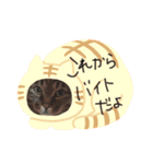 なかせみるちゃん②（個別スタンプ：10）