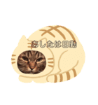 なかせみるちゃん②（個別スタンプ：14）