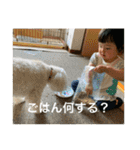 ちゃちゃあかり3（個別スタンプ：20）
