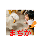 ちゃちゃあかり3（個別スタンプ：24）