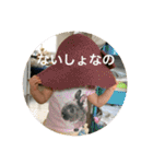 ちゃちゃあかり3（個別スタンプ：31）