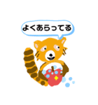 てあらいくま（個別スタンプ：7）
