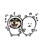 まめふくすたんぷ（個別スタンプ：3）