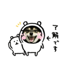 まめふくすたんぷ（個別スタンプ：5）