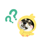 まめふくすたんぷ（個別スタンプ：8）