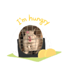 バカ息子モチくん（個別スタンプ：6）