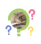 バカ息子モチくん（個別スタンプ：7）