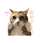 うみそらまる2（個別スタンプ：2）