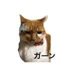 うみそらまる2（個別スタンプ：3）