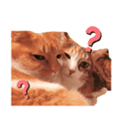 うみそらまる2（個別スタンプ：5）