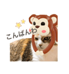 うみそらまる2（個別スタンプ：8）