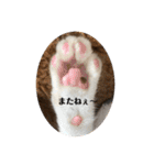 ベリー＆ジャムの日常の言葉（個別スタンプ：8）