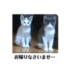 ベリー＆ジャムの日常の言葉（個別スタンプ：10）