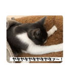 ベリー＆ジャムの日常の言葉（個別スタンプ：12）