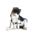 ベリー＆ジャムの日常の言葉（個別スタンプ：13）