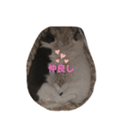 ベリー＆ジャムの日常の言葉（個別スタンプ：15）