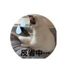 ベリー＆ジャムの日常の言葉（個別スタンプ：17）
