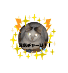 ベリー＆ジャムの日常の言葉（個別スタンプ：27）