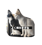 ベリー＆ジャムの日常の言葉（個別スタンプ：30）