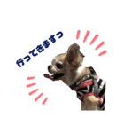 博多のあんじゅ② よく使う言葉（個別スタンプ：2）