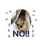 博多のあんじゅ② よく使う言葉（個別スタンプ：6）