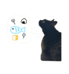 たいちゃんちつぅ（個別スタンプ：1）