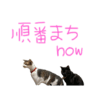 たいちゃんちつぅ（個別スタンプ：5）