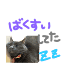 たいちゃんちつぅ（個別スタンプ：7）