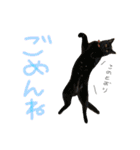 たいちゃんちつぅ（個別スタンプ：14）