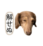 ククルとルーク2（個別スタンプ：16）