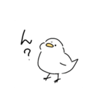 白いとり（個別スタンプ：5）