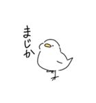 白いとり（個別スタンプ：6）