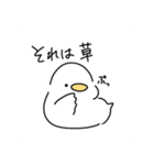 白いとり（個別スタンプ：11）