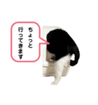 黒助の日常（個別スタンプ：6）