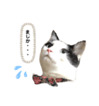 黒助の日常（個別スタンプ：8）