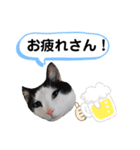 黒助の日常（個別スタンプ：14）