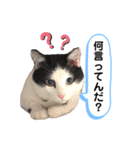黒助の日常（個別スタンプ：17）