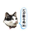 黒助の日常（個別スタンプ：18）