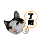 黒助の日常（個別スタンプ：21）