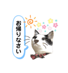 黒助の日常（個別スタンプ：24）