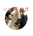 しずあずコンビ 毎日元気！！（個別スタンプ：6）