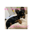 しずあずコンビ 毎日元気！！（個別スタンプ：8）