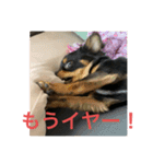 しずあずコンビ 毎日元気！！（個別スタンプ：9）