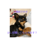 しずあずコンビ 毎日元気！！（個別スタンプ：11）