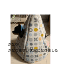しずあずコンビ 毎日元気！！（個別スタンプ：12）