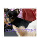 しずあずコンビ 毎日元気！！（個別スタンプ：14）