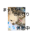 しずあずコンビ 毎日元気！！（個別スタンプ：16）