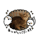 のらーず勢揃い（個別スタンプ：2）
