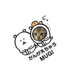 のらーず勢揃い（個別スタンプ：7）