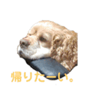 ノアル2（個別スタンプ：9）